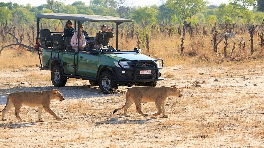 Wildlife tour near harare