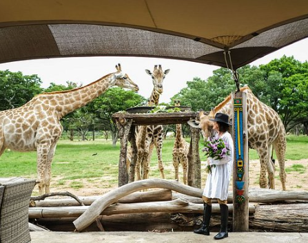 The 10 Best Places to Go Shopping in Harare