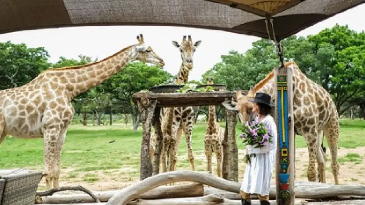 The 10 Best Places to Go Shopping in Harare