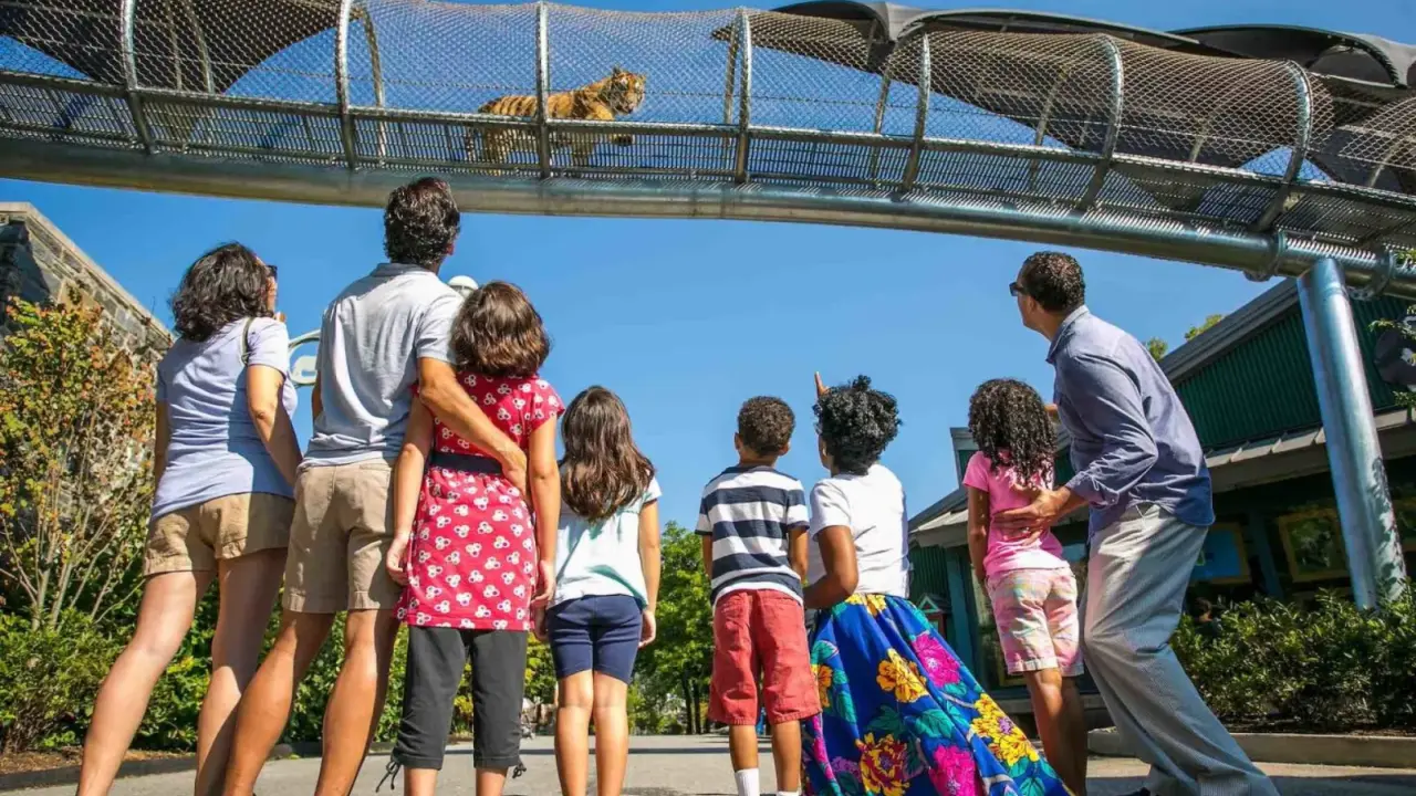 Harare with Kids: Family-Friendly Activities and Attractions