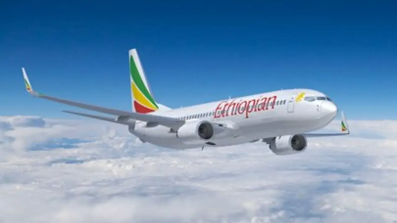 Cheap Flights to Hargeisa - Budget-Friendly Airfares to Somaliland