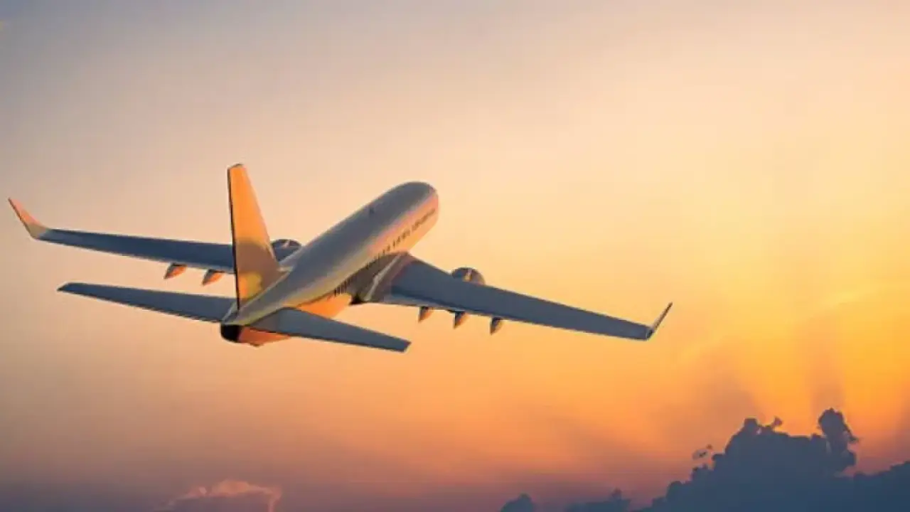 How to Book Cheap UK to Auckland Flights During Sale Seasons