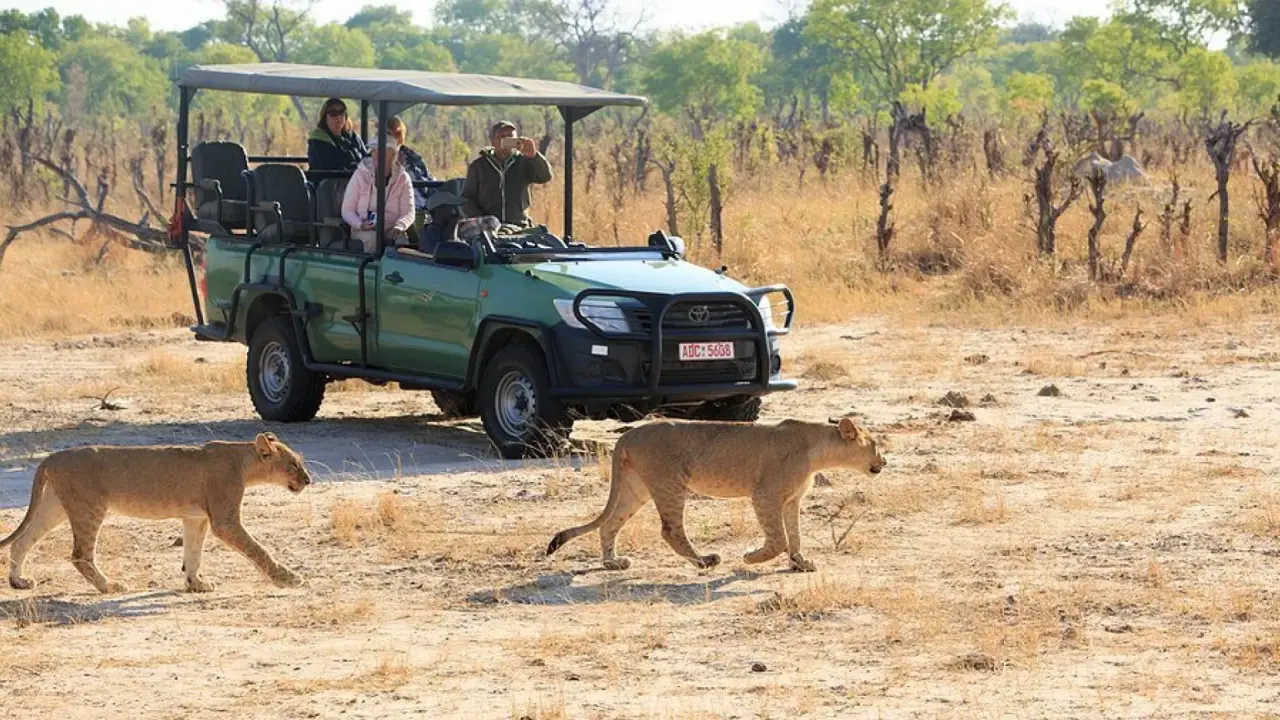 Wildlife Tours Near Harare: A Nature Lover’s Dream